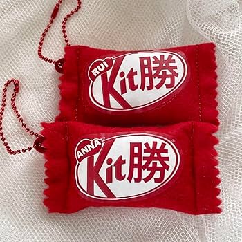 お名前 フェルト キーホルダー ネームタグ ハンドメイド 手作り