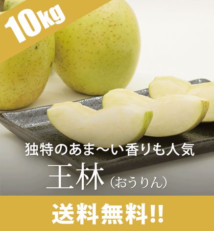 いわき平競輪・ＧⅢいわき金杯争奪戦】Ｓ班５人出場！佐藤慎太郎と〝代表カレー〟に注目 | 東スポ競輪