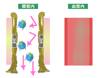 バイアグラの口コミ｜効果のレビューや体験談はこちら｜お薬なび