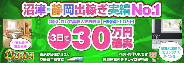 東京｜風俗出稼ぎ高収入求人[出稼ぎバニラ]