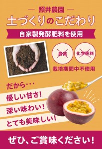 5月18日収穫 青梅（農薬不使用）2kg 美味しくっ