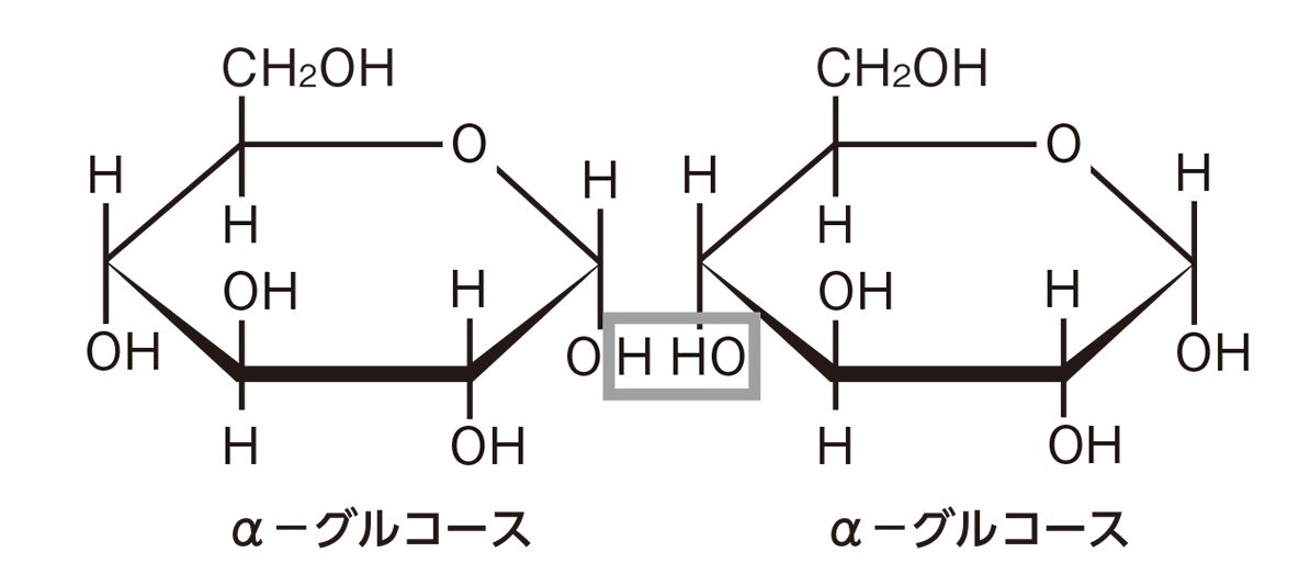 Architectural Design 03 : Markthal - コロナが終わったら旅に出よう