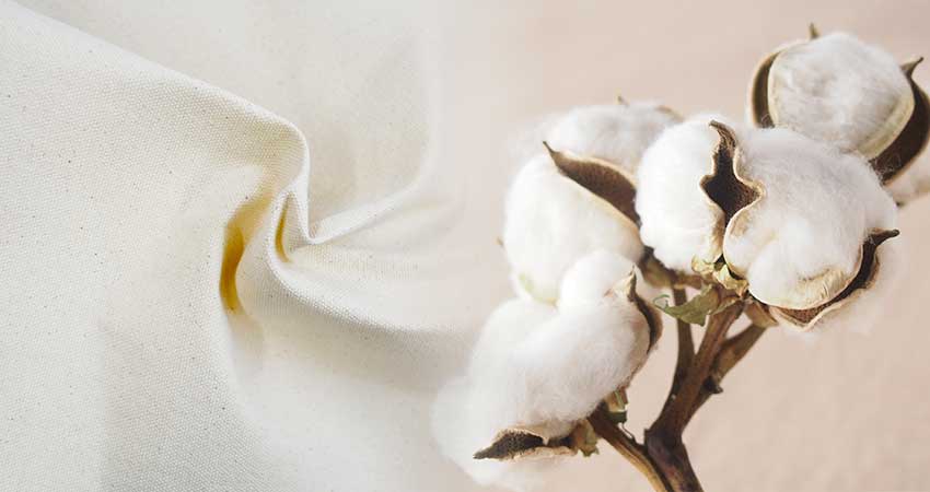 帆布 はんぷ 生地とは？キャンバス生地との違いや生地を選ぶポイントをご紹介！Trim-park SHIMADA BLOG