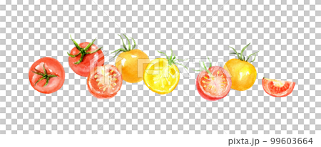 トマトの声をきく農業ブランディング 農業をデザインで変える ファームステッド