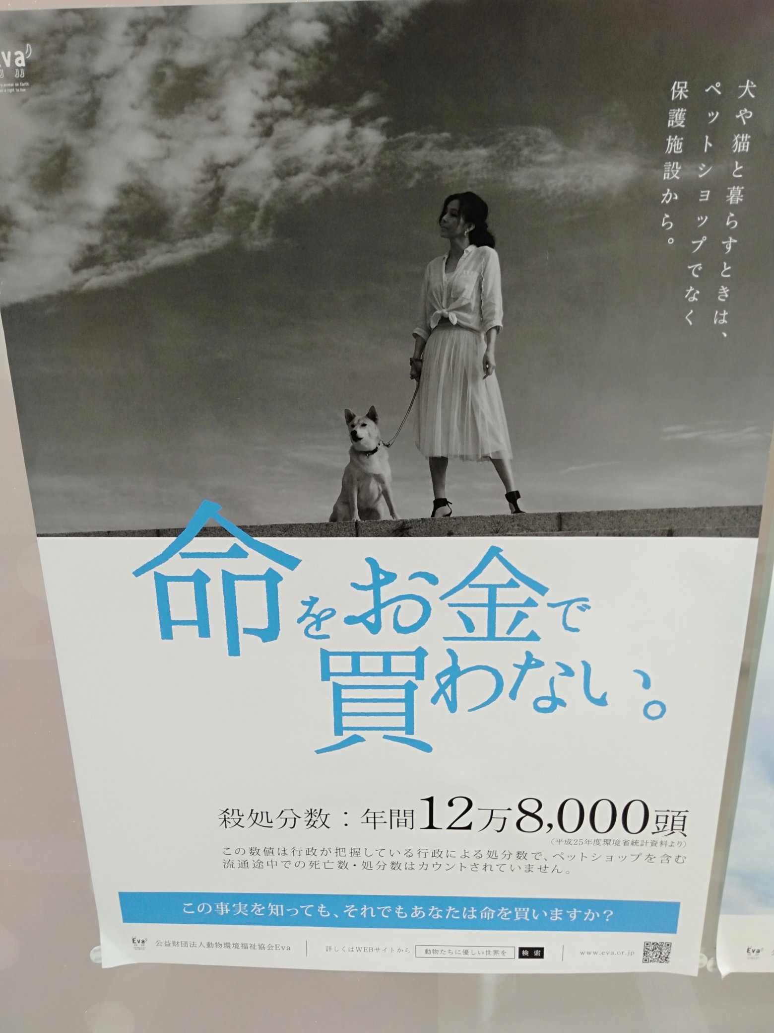 ライブドアニュース on X: 