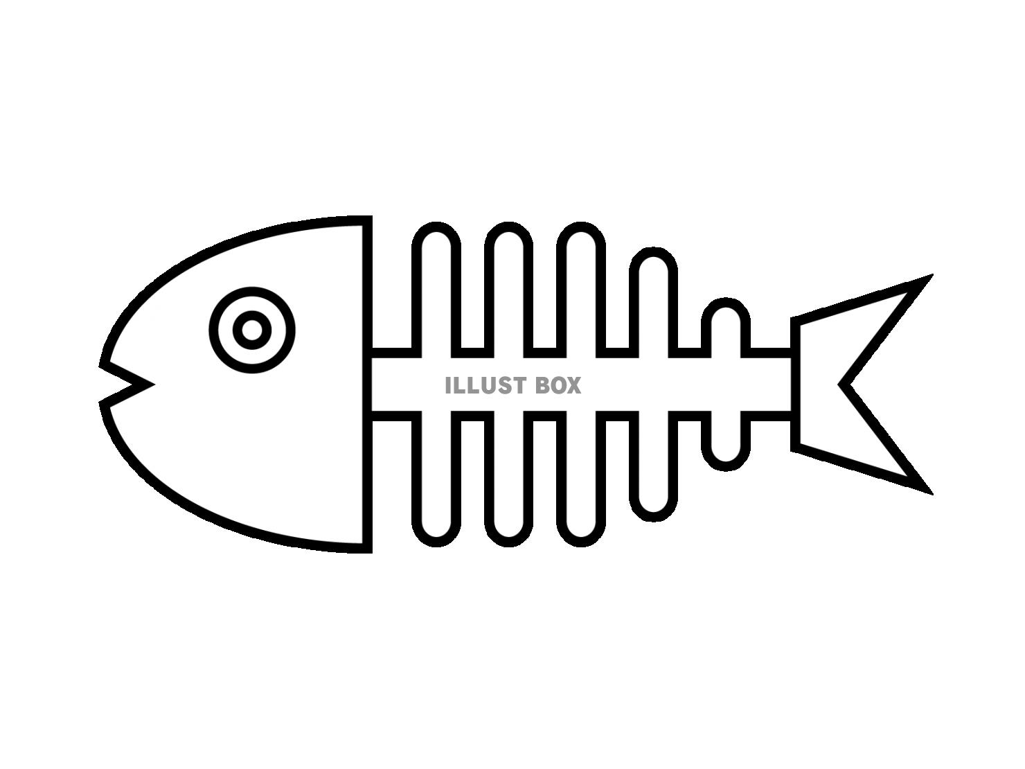 魚の骨のフリーイラスト - リアル・かわいい骨の素材 - チコデザ