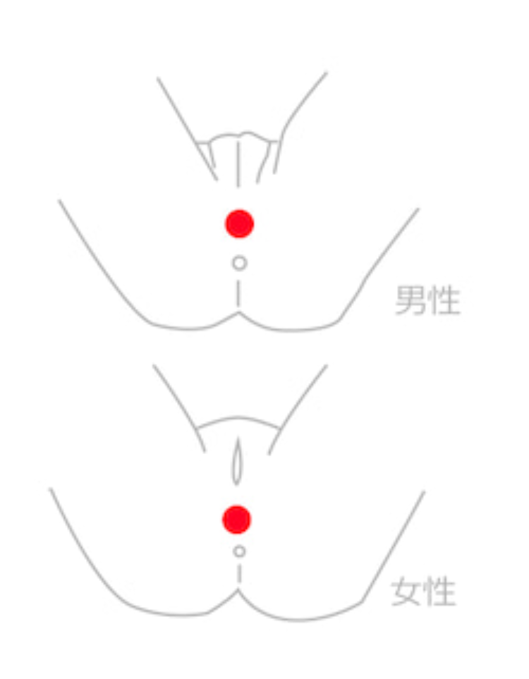 ◎素女経秘伝・性感ツボ健康法―性の歓びとともに元気が出る本○(雑学、知識)｜売買されたオークション情報、Yahoo!オークション(旧ヤフオク!)  の商品情報をアーカイブ公開