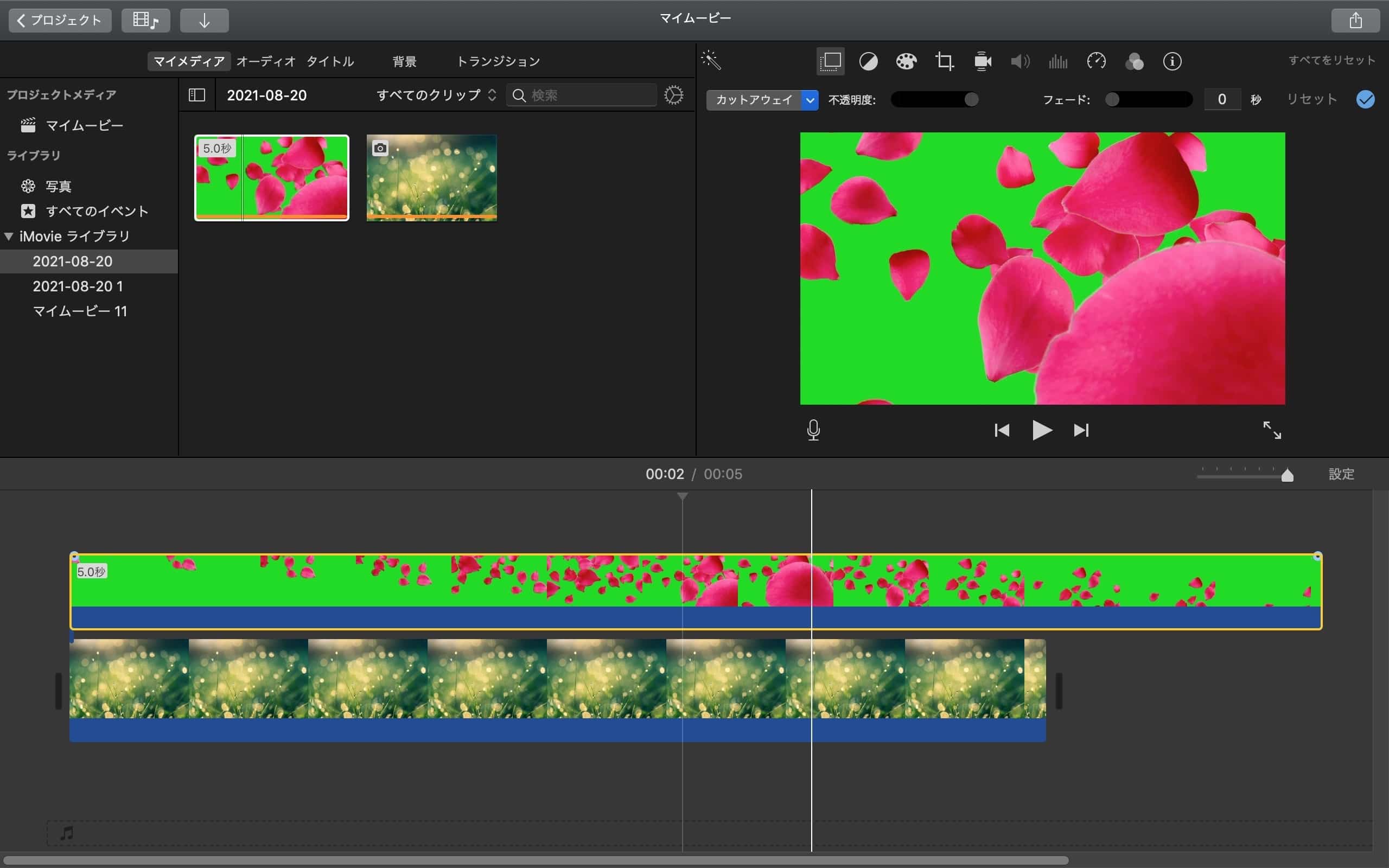 広い壁と芝生の合成向け背景素材 11038024863 の写真・イラスト素材アマナイメージズ