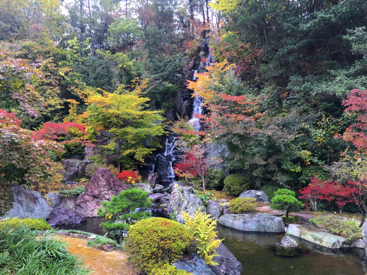 庭園眺めながらのお食事は、癒されますよ‼️, 今日も幸せキラリ✨✨, #石庭, #仙石庭園,