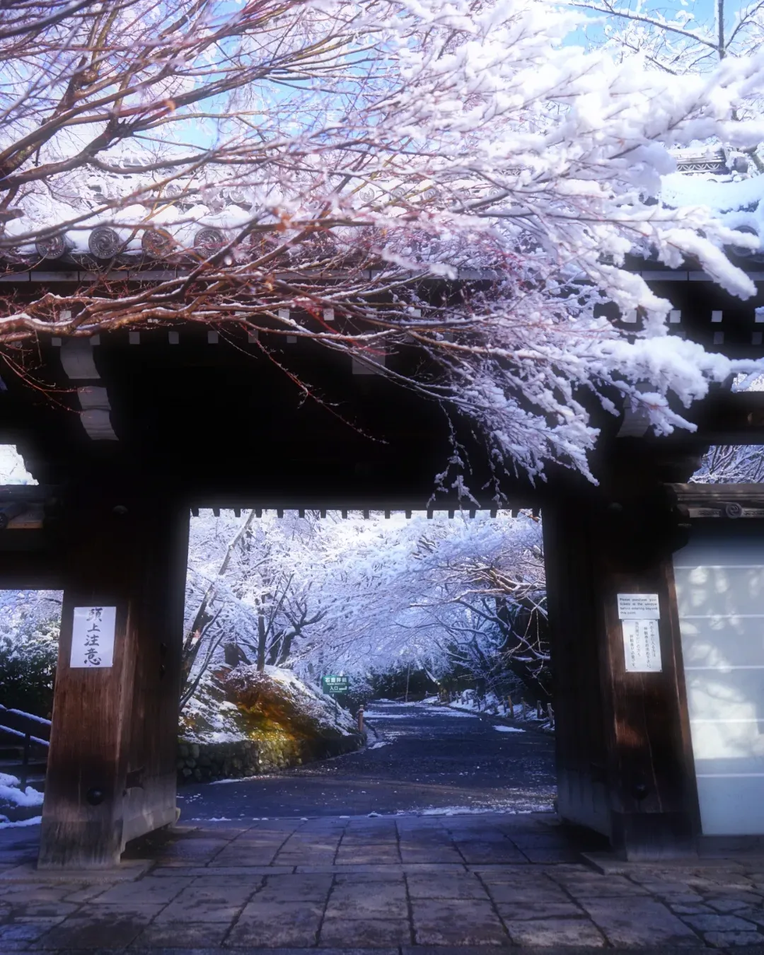 紅葉散る凛とした佇まいの寺社で平安を祈る旅（3）「3日目は伏見稲荷、東福寺、下賀茂神社、八坂神社、高台寺」「4日目は六角堂、イノダ、いづ重」』伏見(京都)の旅行記・ブログ  by 川岸 町子さん【フォートラベル】