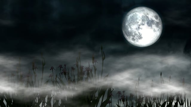 究極のリアルなAI動画生成ツール：7つのプロ向けツールを公開