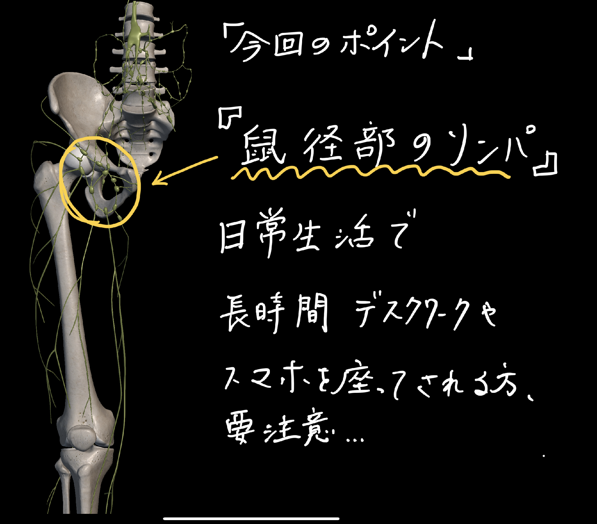 福井県｜民間医局レジナビ