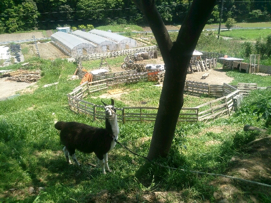 佐藤町＠浜松市: ＪＱ１ＮＤＨ＆ＪＱ１ＺＧＨのブログ 投稿者名にはコールサインを記入願います！アンカバは削除します！