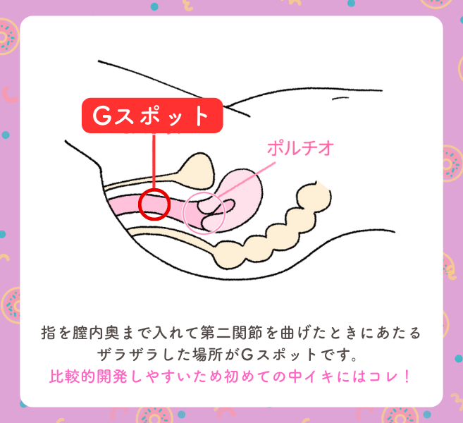 手マン・挿入でGスポットで中イキさせる方法【図解・動画】 | セクテクサイト