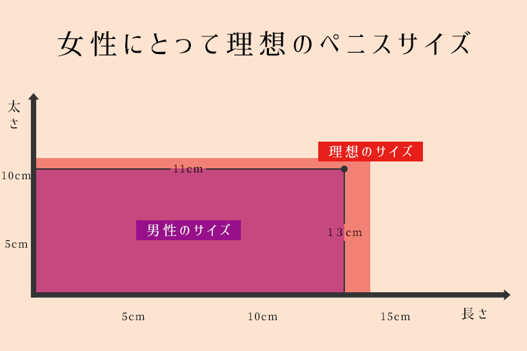 ぺニスのサイズ・大きさの測り方｜長さ/太さ/日本人 女性のライフスタイルに関する情報メディア - 日本 人