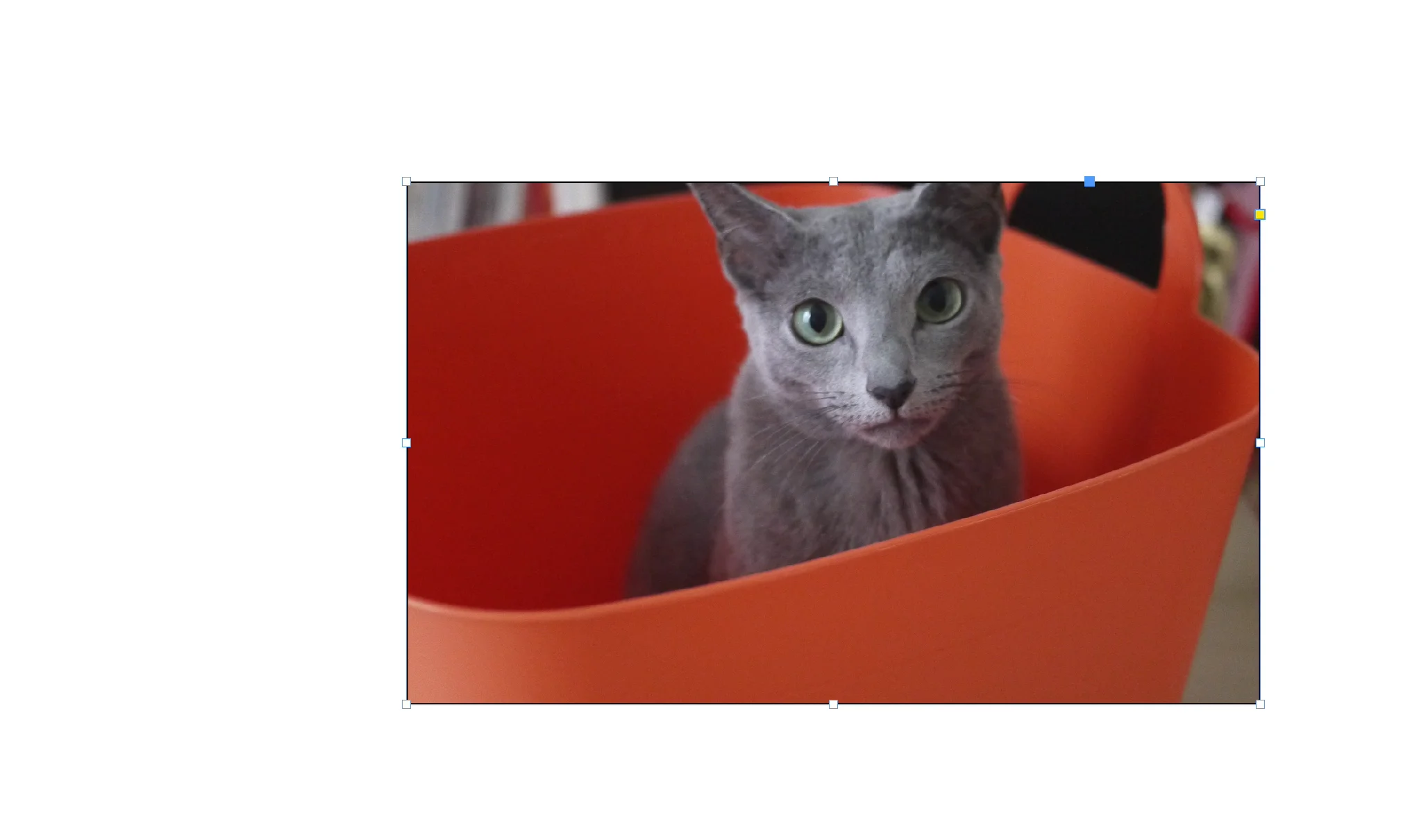 第11回 画像フレームのテクニックgihyo.jp