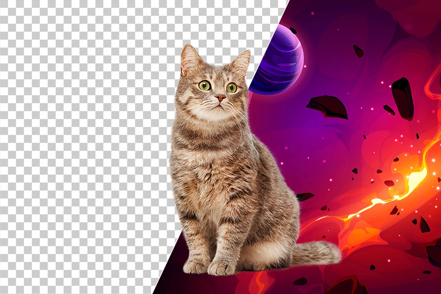 6ページ目背景透過の写真素材写真素材なら「写真AC」無料 フリー ダウンロードOK