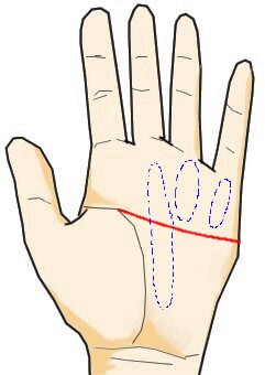 最強の手相・ますかけ線とは？意味・見方・種類を図解 強運を引き寄せる手相