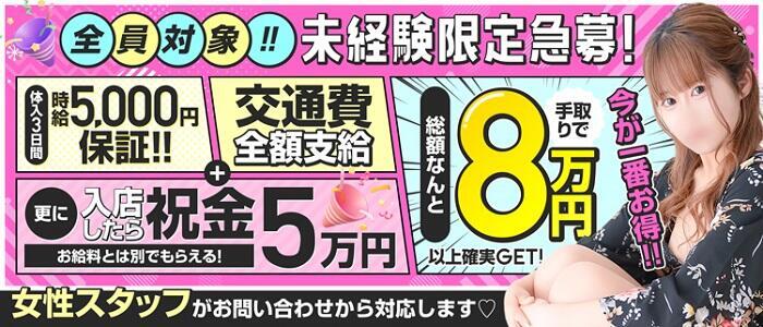 大阪の2ショットキャバ（セクキャバ）の風俗求人【関西｜30からの風俗アルバイト】