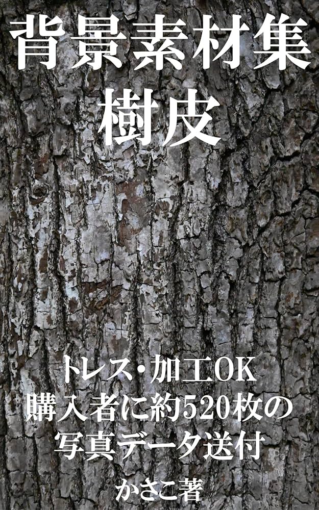 写真を使った絵の描き方入門「フォトバッシュ＋コンセプトアート」高原工房