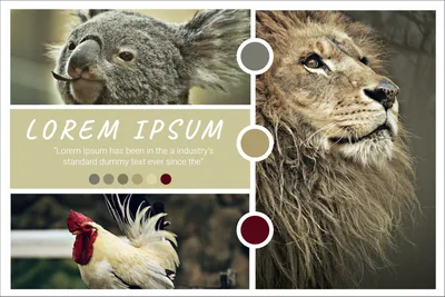 無料アプリSapeCollage 素敵なコラージュ写真が簡単にできるどすこい一番星