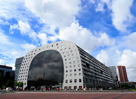 ハーグのマウリッツハウス美術館＆ロッテルダムの風車とマルクトハルへだんご３兄妹弟と私 ニュージーランド親子留学編