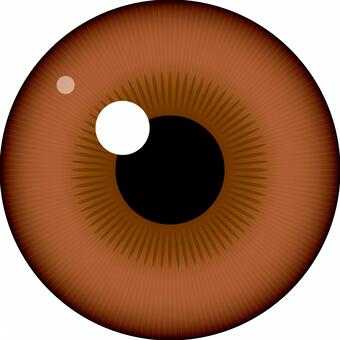 虹彩認証: 生体認証NEC