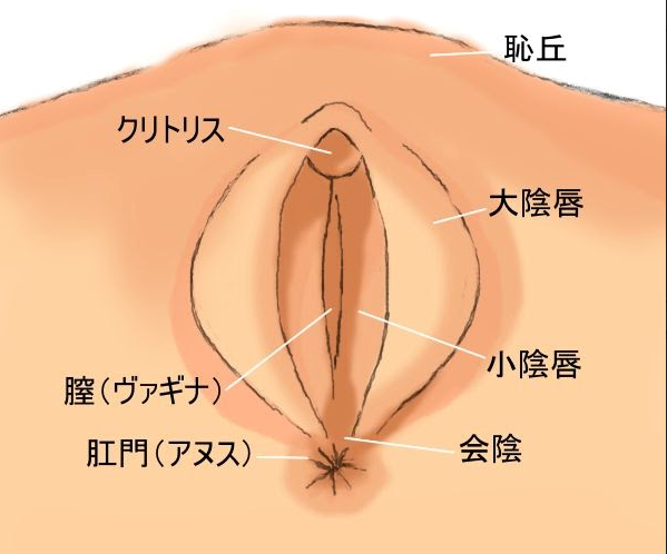 手マンの基本のき -手マン やり方| BeYourLoverさっchannelコラム