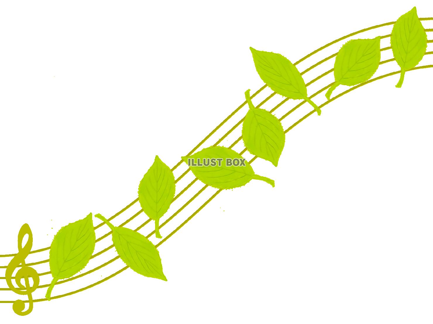 3ページ目葉っぱの写真素材写真素材なら「写真AC」無料 フリー ダウンロードOK