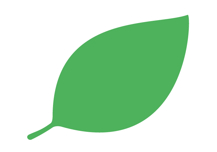 葉っぱや草木のイラスト・画像・フリー素材 No.312『新緑』