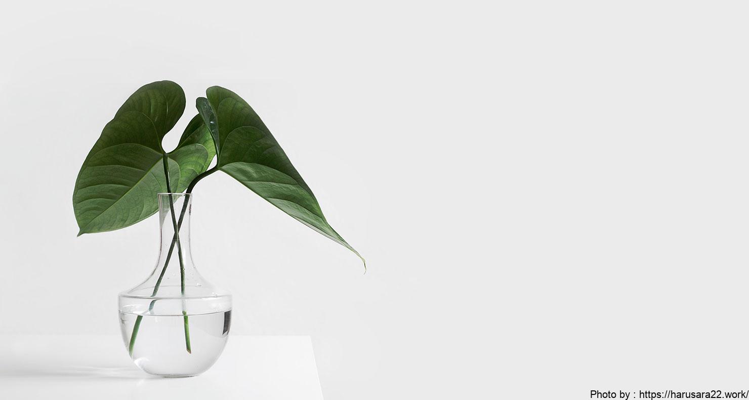 Galaxy A A54 5G TPUフィルム SC-53D SCG21 フィルム ギャラクシー 保護フィルム 液晶保護フィルム tpu 液晶保護シート 画面保護 スマホ保護 飛散防止 柔軟性 : Thursday - 通販 - Yahoo!ショッピング