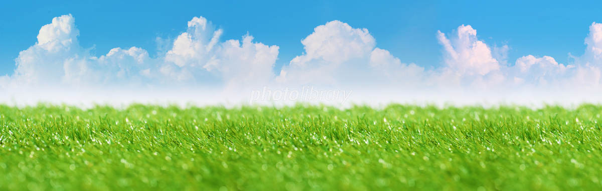 クロマキーに最適な色について考えてみた。Ae Shark