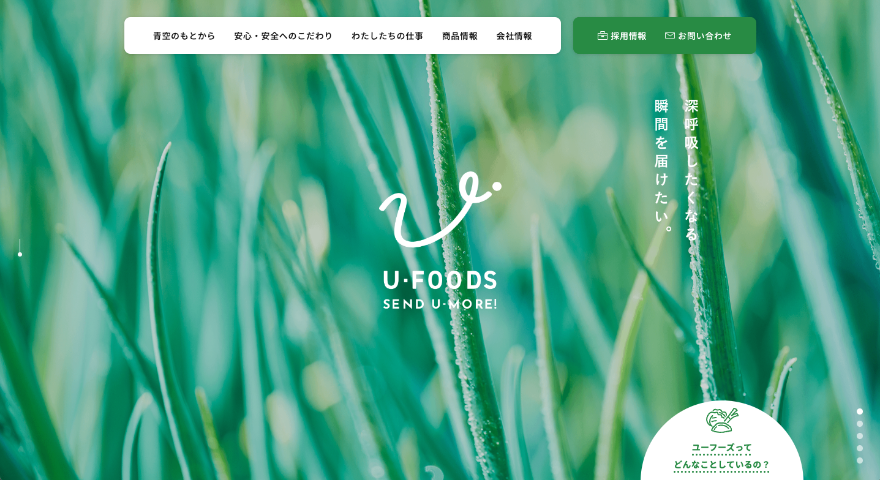 自然と共生するグリーンデザインWORKS株式会社グリーンディスプレイ植物を用いてオフィスや商空間をグリーン溢れる空間にデザイン