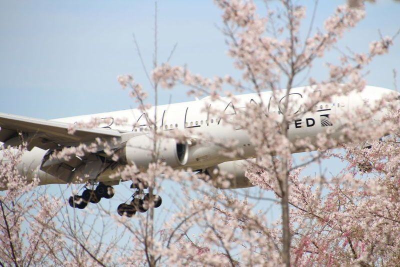 【空の駅】さくらの山公園は成田空港を飛び立つ飛行機が間近に見えるスポット