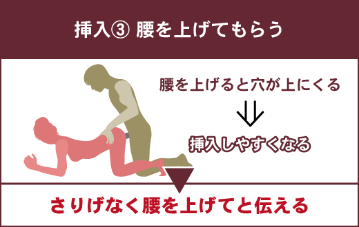 後背位（バック）の99%が出来ていないSEXテクニック【完全図解版】 | セクテクサイト