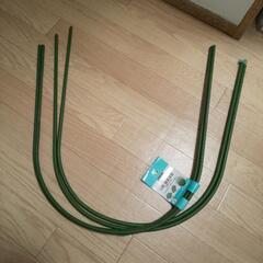 子供と一緒に朝顔を育てる！道具は１００均のセリアで全て調達可能！ - ひよりの小さな暮らし