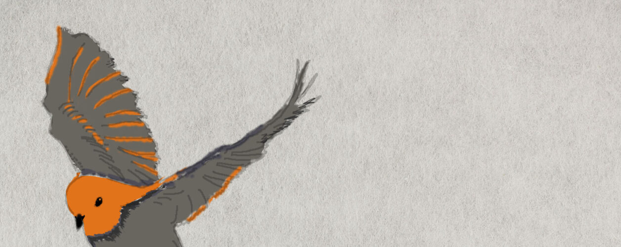 Adobe Learn - を学ぶ Illustrator Illustratorでプライベート名刺を作る