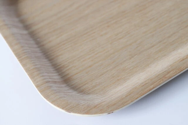 ダイソー 滑り止め付きトレー 500円TikTok