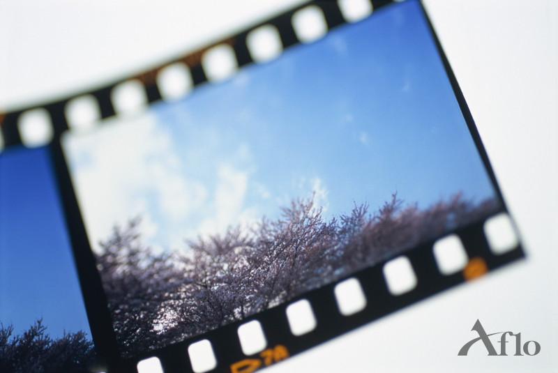 今さらですが ストックフォトって？ - Shutterstock Blog 日本語