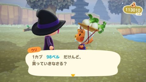 ハナペンマンのゲーム日記 その15 『あつまれ どうぶつの森』用カブ価記録シートを作りました！！HANAPEN NEWS