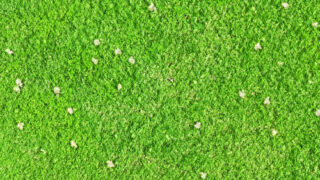 芝生のテクスチャ 画像 - Freepikで無料ダウンロード