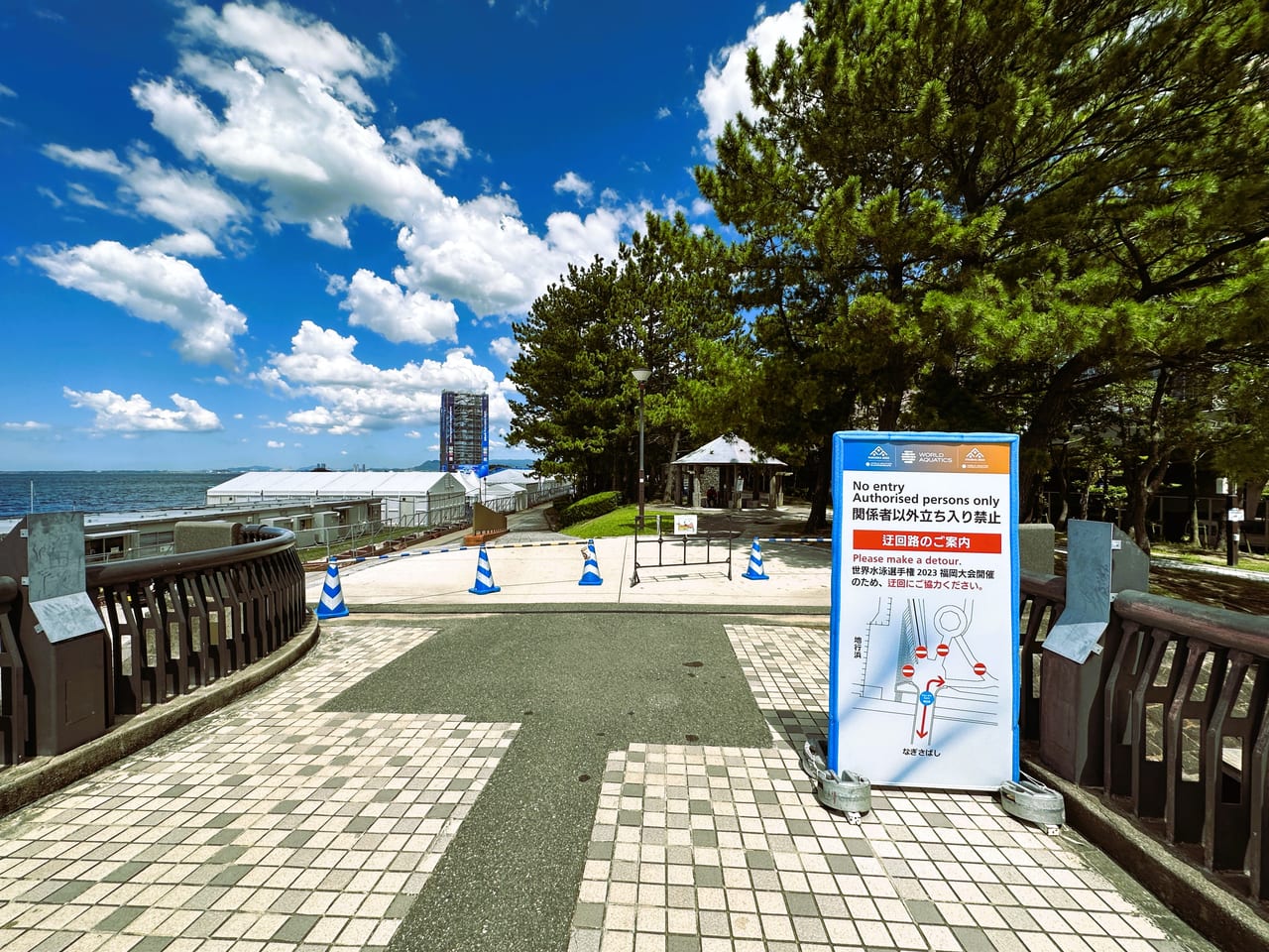 ももち海浜公園でのグルメ体験