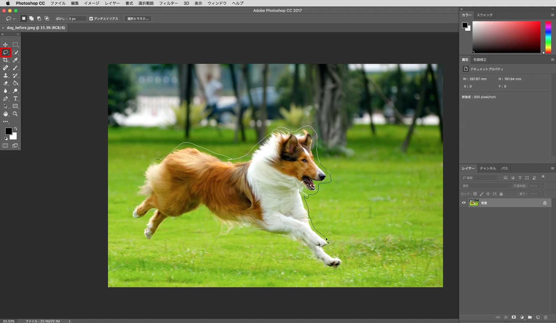 💡 超簡単！白背景から白い物を切り抜く をPhotoshopで作成しよう！ ⁡ ① 画像を用意して通常レイヤーにする ② 画像を複製する ③｢レベル補正｣で画像の 明るさを調整して暗めにする ④ ｢レイヤーを結合｣する ⑤ 被写体を選択し｢レベル補正した画像｣を 非表示にする ⑥