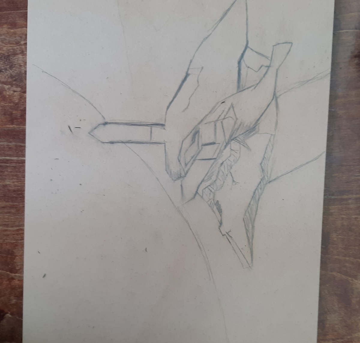 学習教材の制作・販売・アメリカの教科書・国際バカロレア対応教科書・理科実験工作・器具の販売│教材出版 学林舎