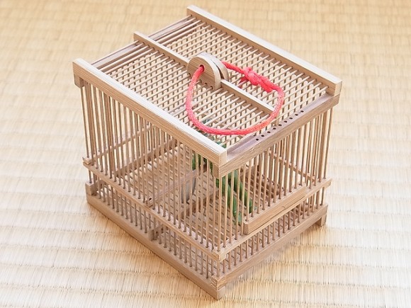 Amazon.co.jp:Amazon限定セット竹ひごDIY 工作 模型 竹 丈夫 エコ 環境素材 手芸 クラフト ナチュラル4mm36cm 15本 × 1個: ホビ