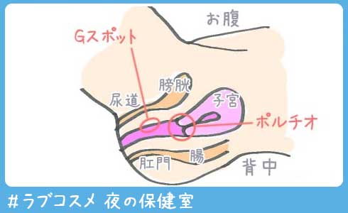 セックスの挿入方法と腰の動かし方(振り方)のコツ - 夜の保健室