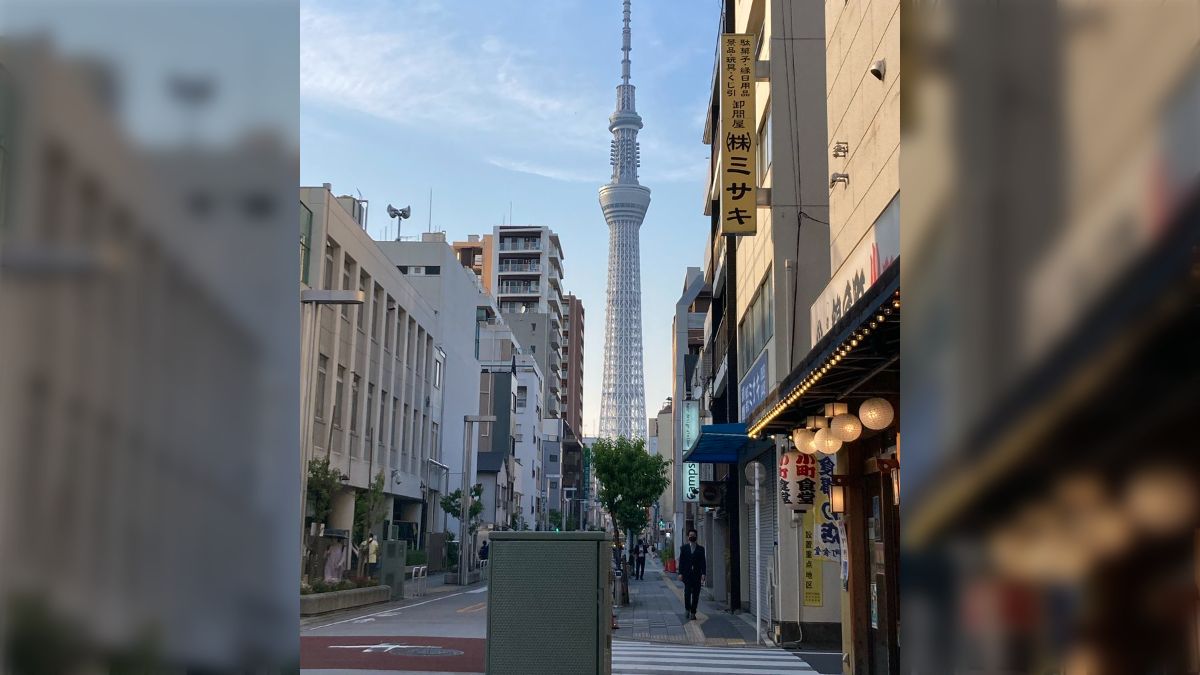 沖縄の旅3日目】美しい海に囲まれた島、沖縄。～座間味の海を遊び尽くせ！～【その2】シュノーケリング編 | 株式会社シードライブ企業ブログ