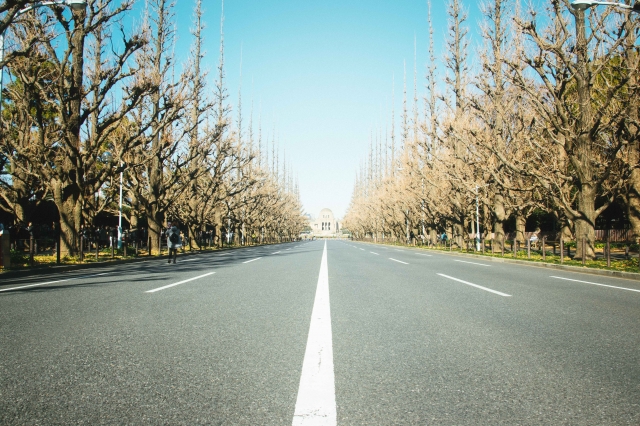 運行ルート、ドットライン車