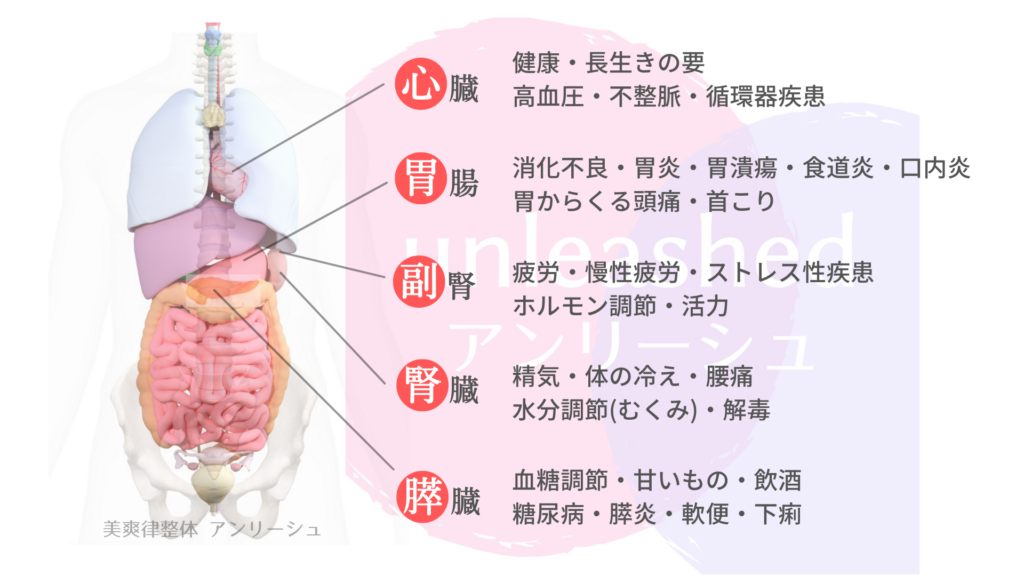 腰・肩・ひざは「ねじって」治す　魔法のリセット・トレーニング (中公新書ラクレ) |