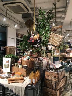 東武百貨店池袋店 2014春の桜ディスプレイ : What's New